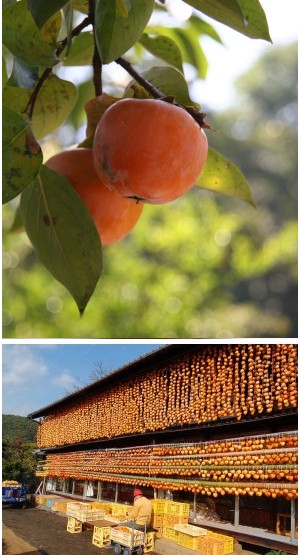 �����̉�