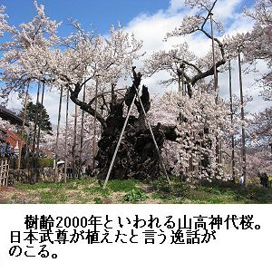 �����̉�