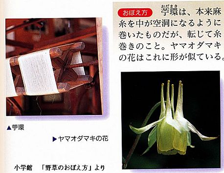 �����̉�