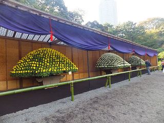 �����̉ԁ@�e