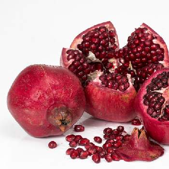 �����̉ԁ@�U�N��