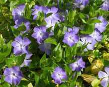 �����X��