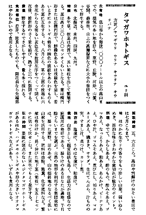 �z�g�g�M�X