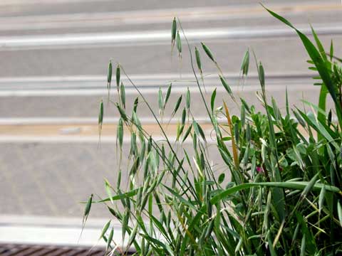 �L�_�`�A���G