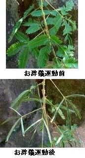 �����̉�