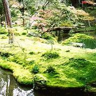 �����̉�