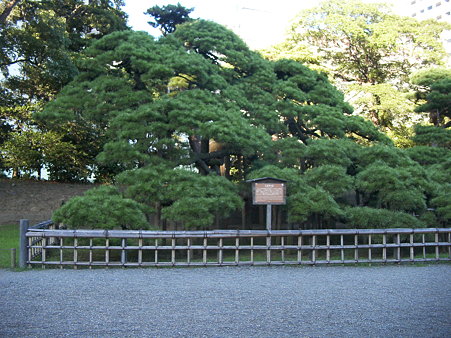 �����̉�